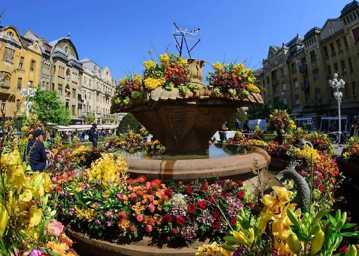 Lägenhet Rox Central *